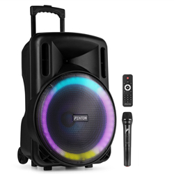 FENTON FT15LED MK2 Φορητό Ηχείο Karaoke 15" ισχύος 800 Watt Peak με USB/ SD/ Bluetooth/ Μικρόφωνο 170.163